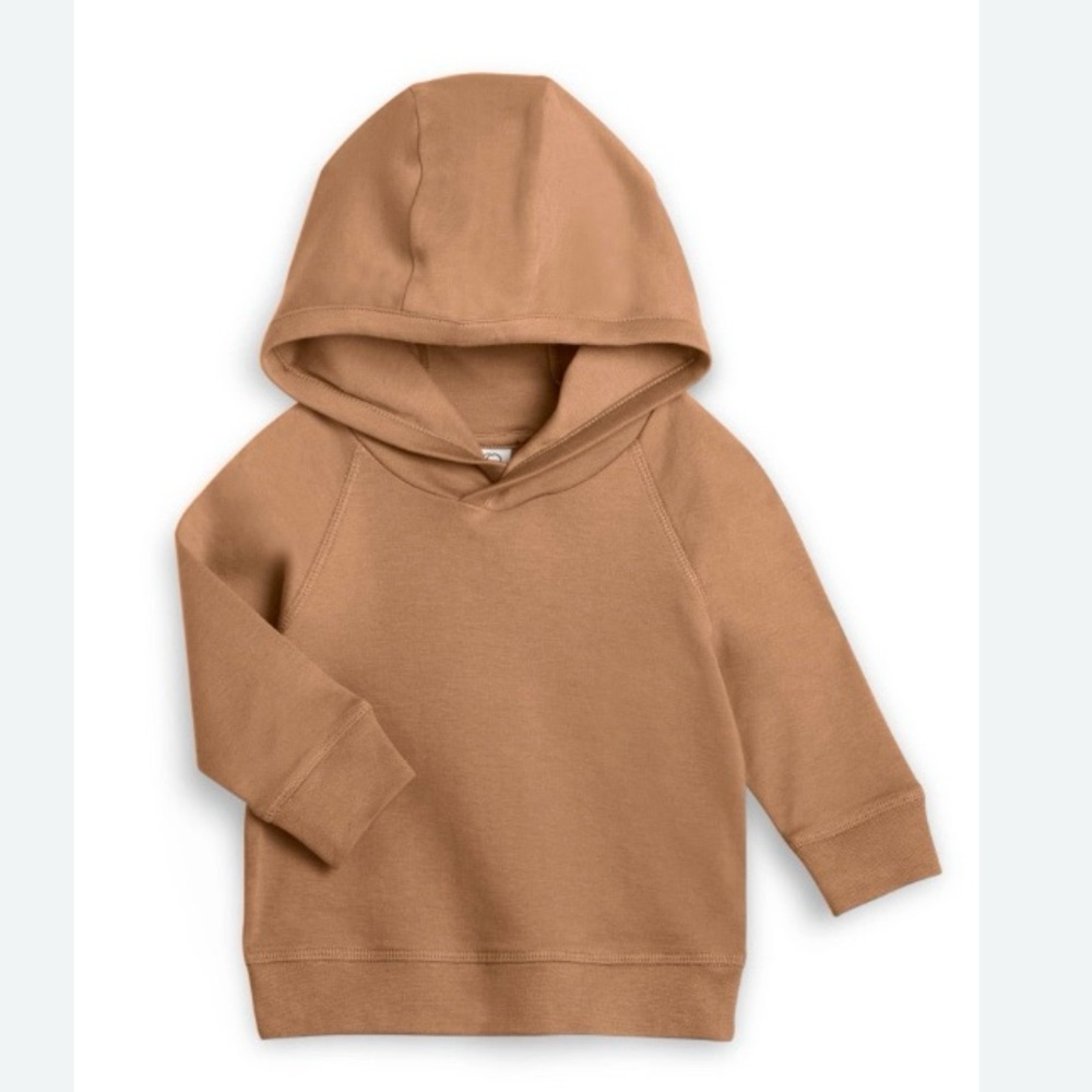 Colored Organics Madison Hooded Pullover Sweatshirt in Ginger